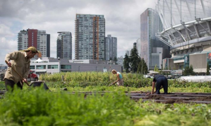 Vancouver, Kanada Gıda Eylem Planı 
