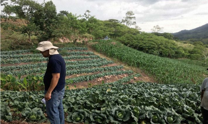 Honduras Kırsalda Genç Girişimleri Destekleyerek Göçü Önlemek