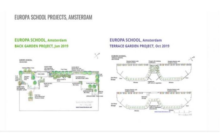 Amsterdam, Hollanda Okullara Permakültür Bahçeleri